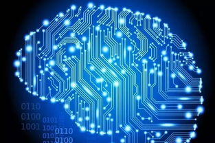 計算機科學專業(yè)分支與學位解讀